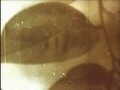 Cracked Share part 2.3.4[본편]