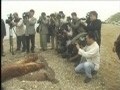 매향리로 돌아가는 먼길[본편]