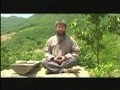 참신한 그이 모습[본편]