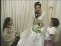 팬지와 담쟁이[본편]