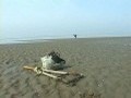 어부로 살고 싶다-새만금 핵폐기장을 낳다[본편]
