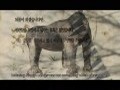 풀장 속의 원숭이들[본편]