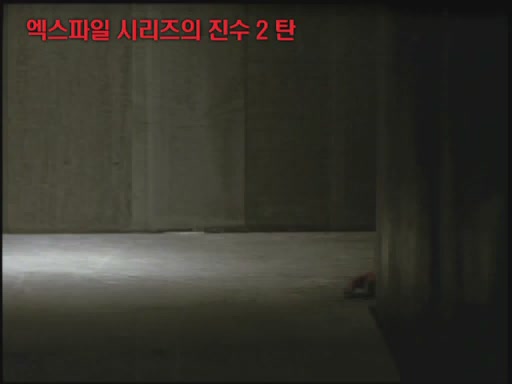 엑스파일: 나는 믿고 싶다[기타]