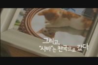 구구는 고양이다[예고편]