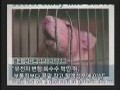 강요된 미래 그리고 개방[본편]