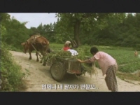 워낭소리[기타]