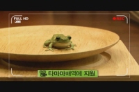 케로로 더무비: 드래곤 워리어[예고편]