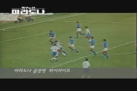축구의 신 마라도나[기타]