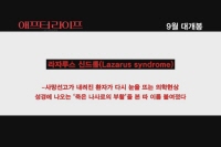 애프터 라이프[기타]