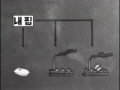 우리도 잘 살 수 있다[본편]
