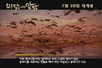 마당을 나온 암탉[기타]