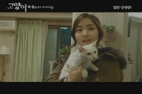 고양이: 죽음을 보는 두 개의 눈[기타]