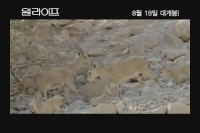 원 라이프[기타]