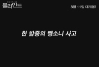 블라인드[기타]