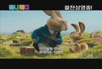 바니버디[기타]