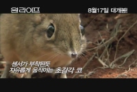 원 라이프[기타]