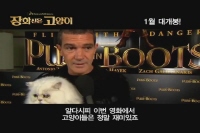 장화 신은 고양이[기타]