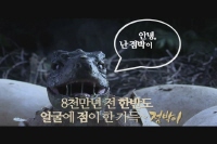 점박이 : 한반도의 공룡[기타]