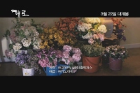 해로 [기타]