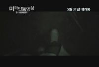 미확인 동영상 : 절대클릭금지[기타]