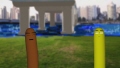 연가시 [기타]