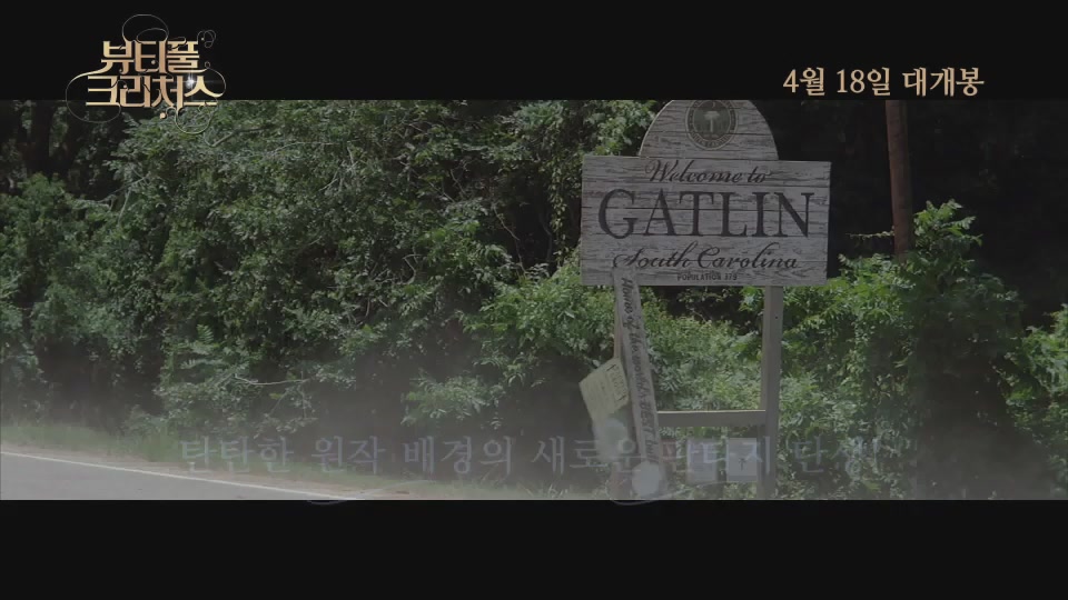 뷰티풀 크리처스[기타]