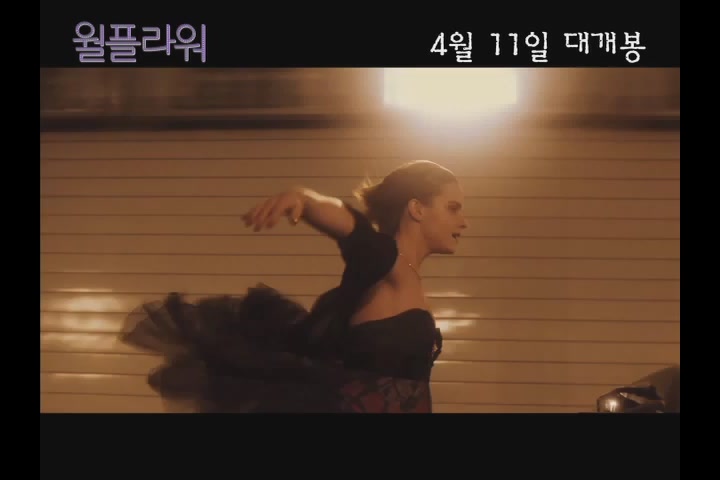 월플라워[기타]