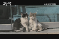 고양이 춤 [예고편]