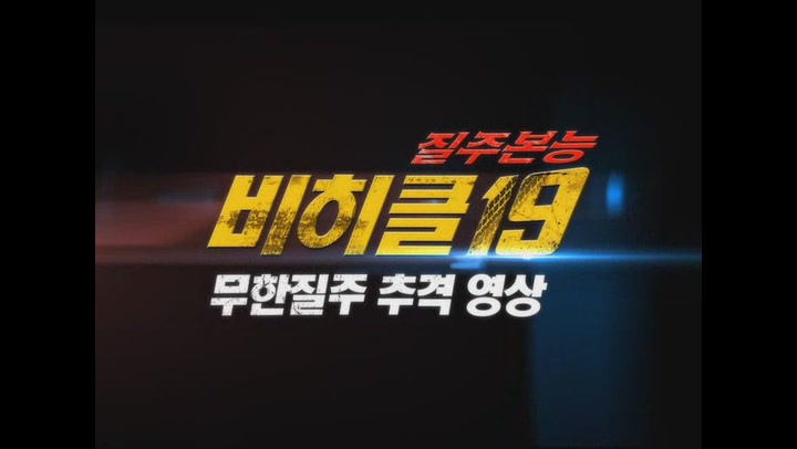비히클 19[기타]