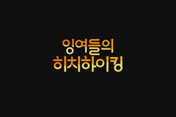 잉여들의 히치하이킹[기타]