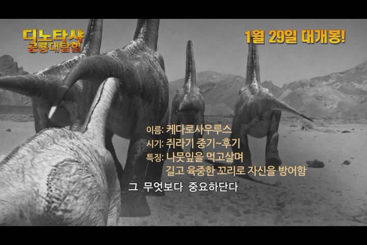 디노타샤:공룡대탐험 [기타]