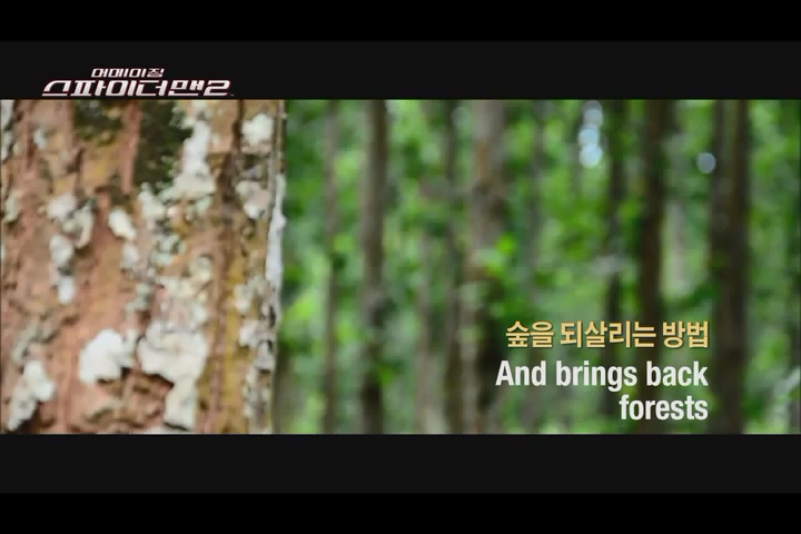 어메이징 스파이더맨 2[기타]