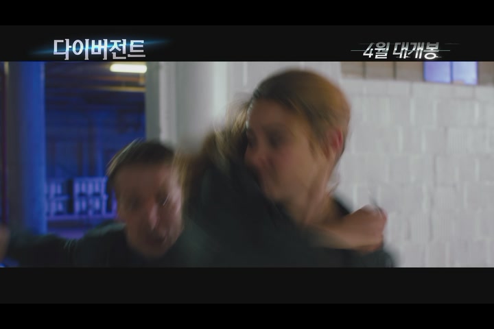 다이버전트[기타]