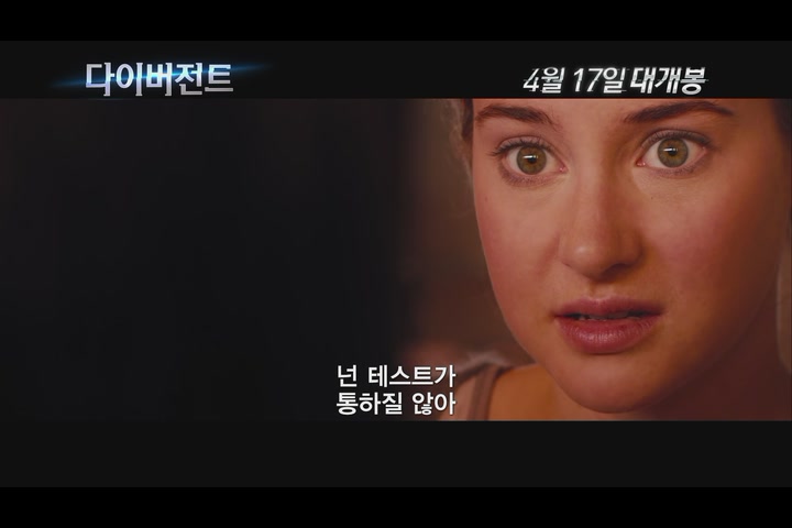 다이버전트[기타]