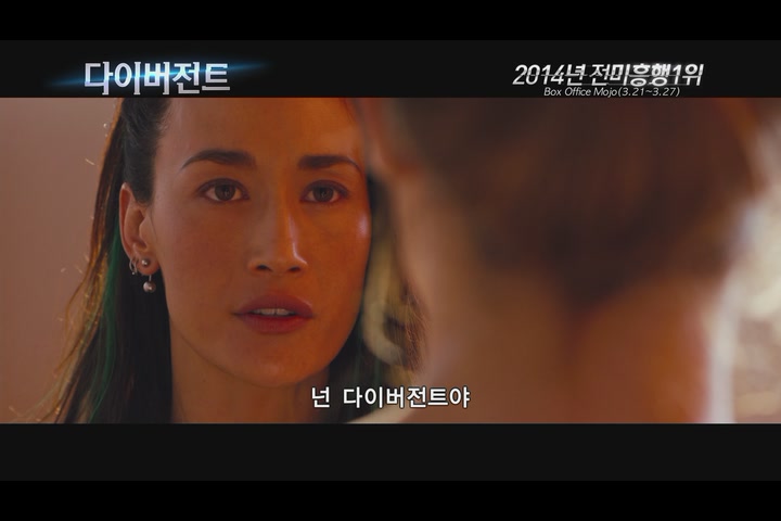 다이버전트[기타]