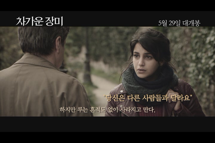 차가운 장미[기타]