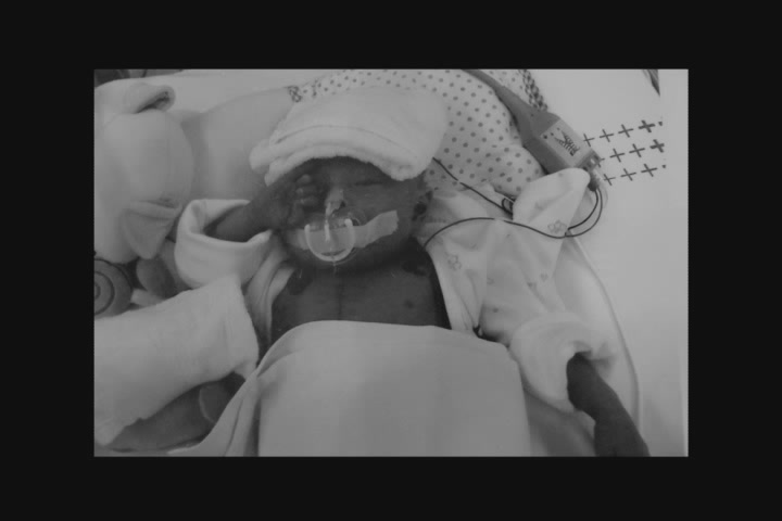 하얀 정글 [예고편]