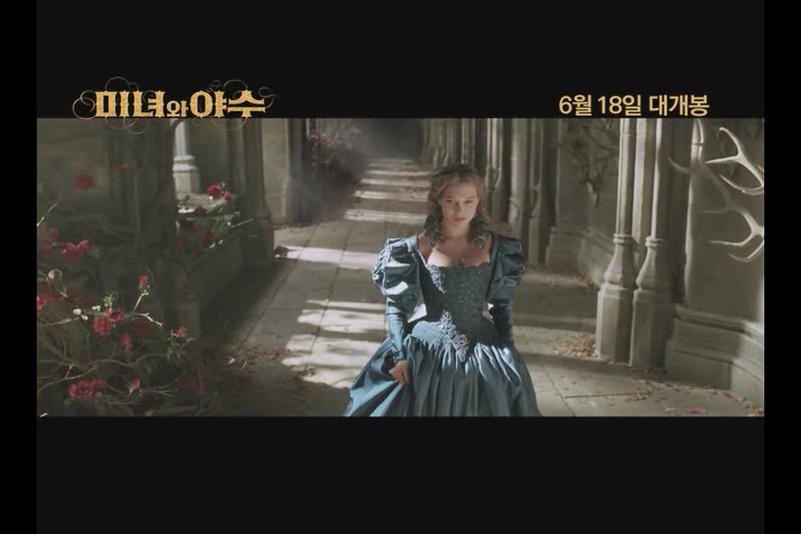 미녀와 야수[기타]