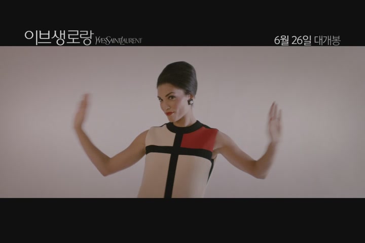 이브 생 로랑 [기타]