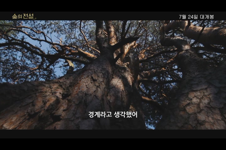 숲의 전설[예고편]