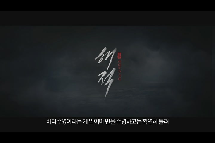 해적: 바다로 간 산적[기타]