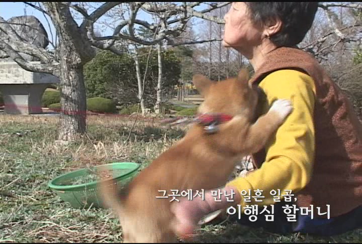 동백아가씨[예고편]