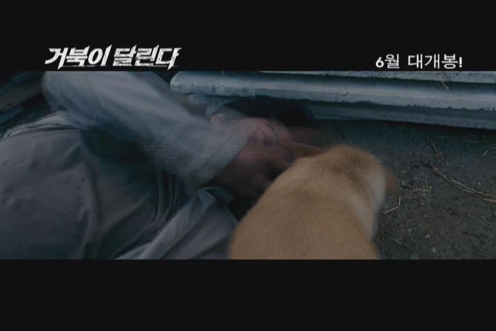거북이 달린다[기타]