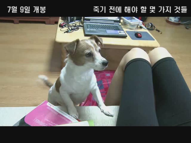 죽기 전에 해야할 몇가지 것들[예고편]