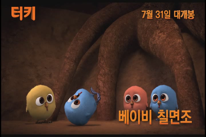 터키[기타]