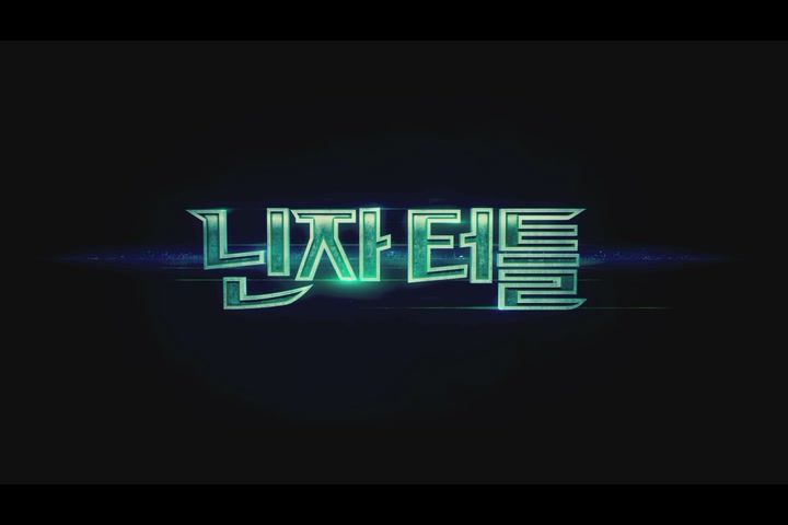 닌자터틀[기타]