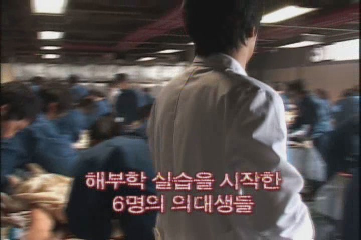 해부학교실[메이킹]