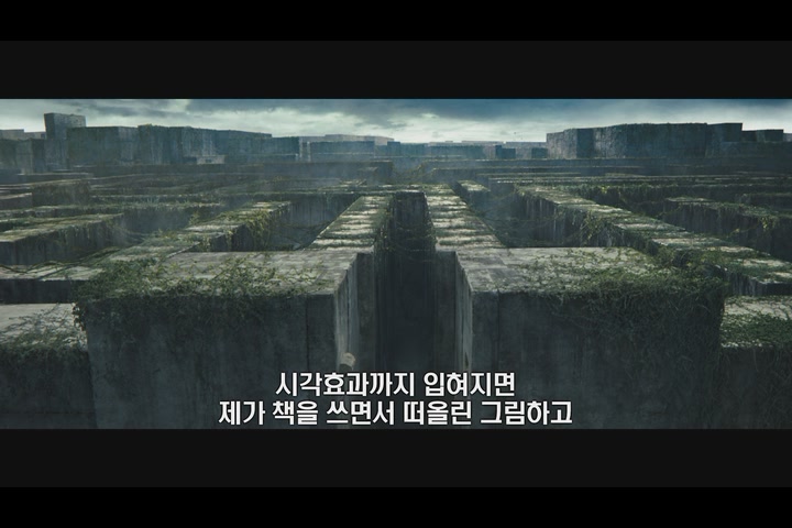 메이즈 러너[기타]