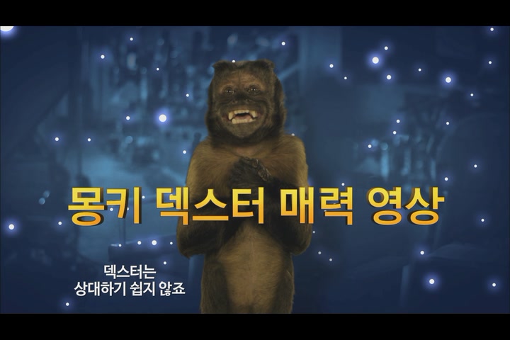 박물관이 살아있다 : 비밀의 무덤[기타]