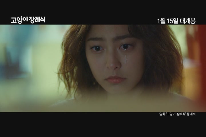 고양이 장례식[뮤직비디오]